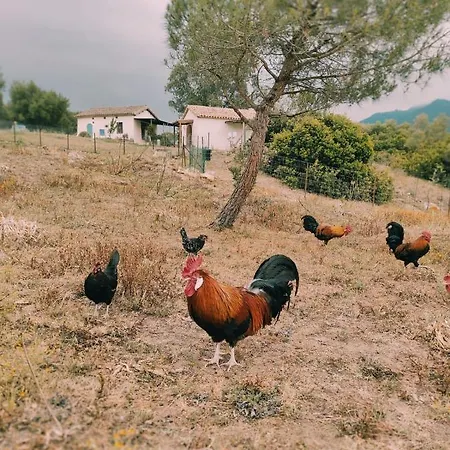 Complejo Rural Del Molino Dorado Сasa de vacaciones *