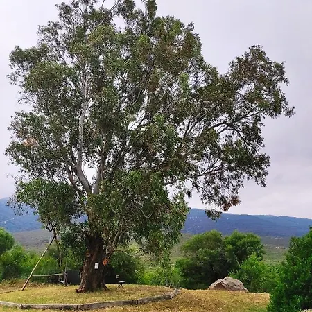Complejo Rural Del Molino Dorado