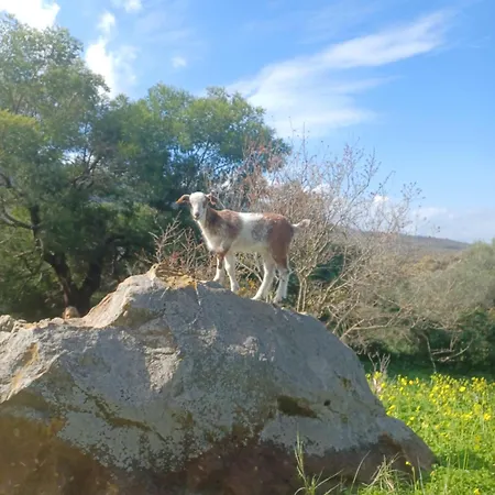Complejo Rural Del Molino Dorado Facinas