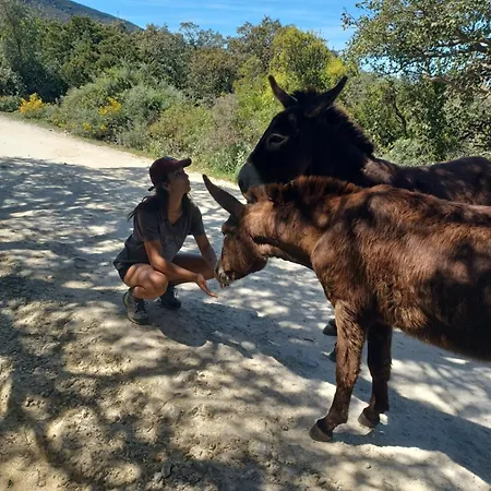 Complejo Rural Del Molino Dorado