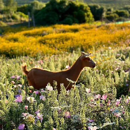 Complejo Rural Del Molino Dorado *
